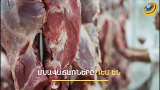 «Ուզեն-չուզեն պիտի տանեն սպանդանոց». նոր կարգավորումները մսագործներին փողոց են հանել