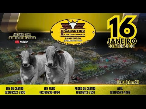 GARANTIDO LEILÕES RURAIS - RIANÁPOLIS-GO