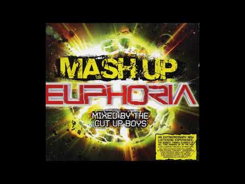 Mashup Euphoria  1 CD  2009  (Mixed By The Cut Up Boys)