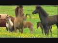 Iceland Tourism Advert PLA G1