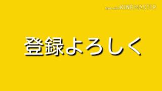 オープニング作りました