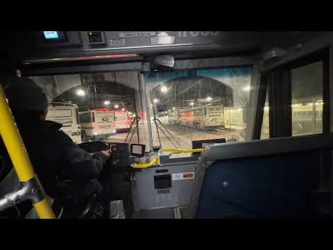 Shortline Bus