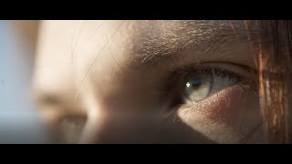 Presentation of the BlueLink Group