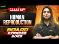Human Reproduction Highlights In 45 Mins CBSE Class 12th Biology Important Questions 2025
