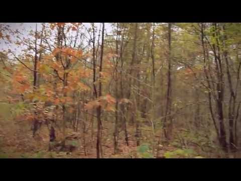 Zickk - Ze zeggen me Official Music Video Clip