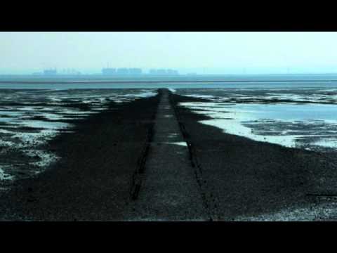 04 Fennesz - Grey Scale [Touch]