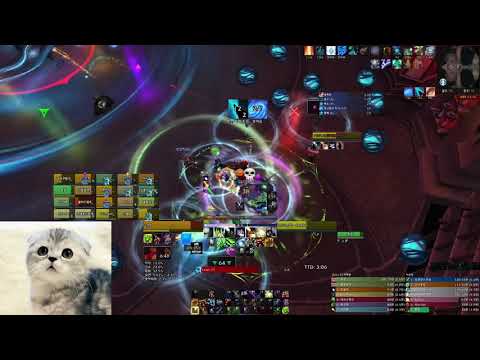 Castle Nathria Mythic: Hungering Destroyer (balance druid PoV)