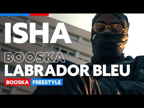 ISHA | Freestyle Booska Labrador Bleu