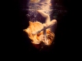 Birds Of Passage - Scarlet Monkeys 
