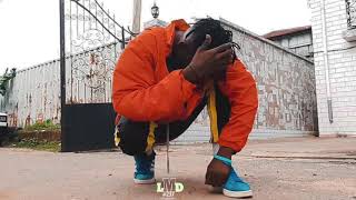 Mr Leo ft Gomez x Kameni soulever (official dance video) Mr Leo ft Gomez x Kameni soulever (official dance video)