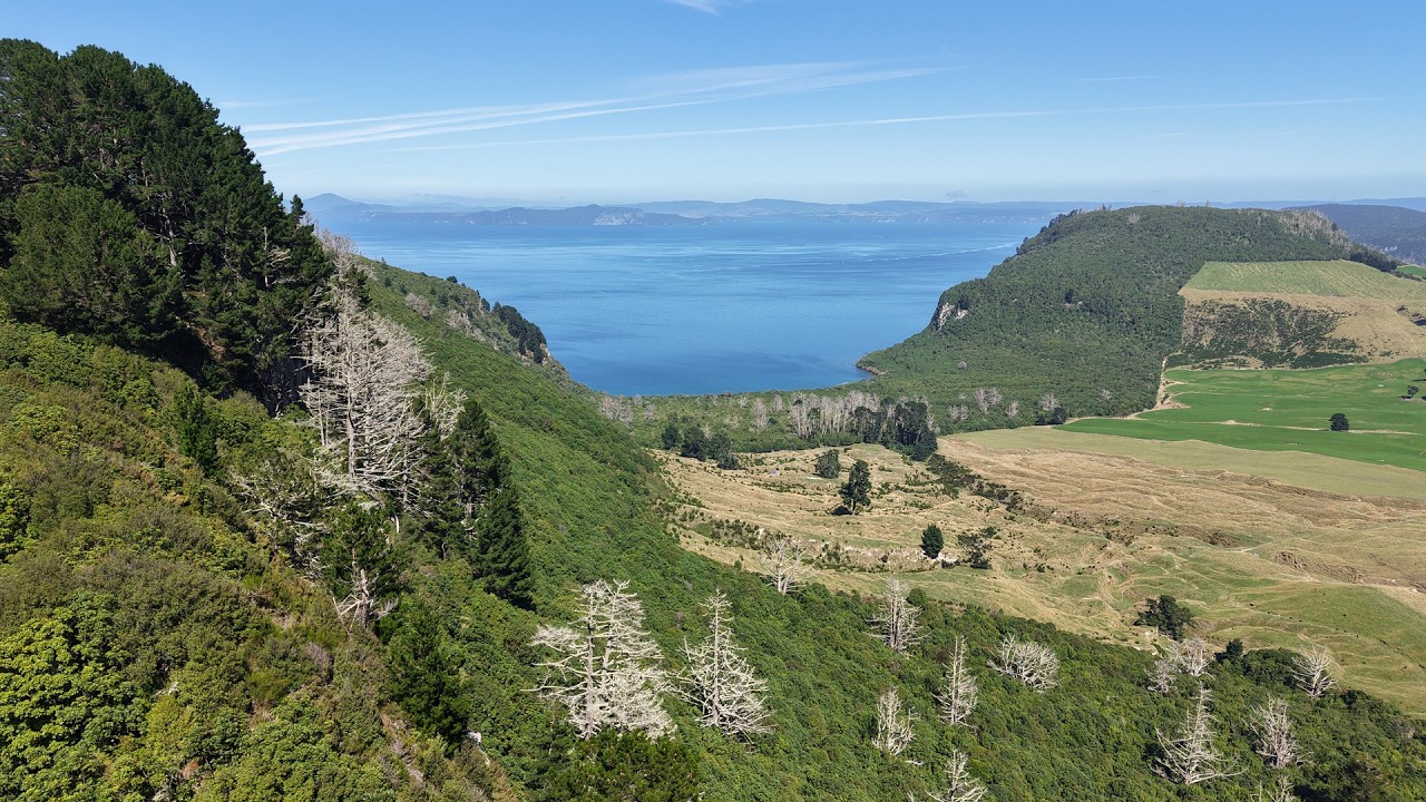 Elevated Living with Panoramic Lake and Mountain Views