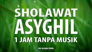 Download lagu SHOLAWAT ASYGHIL 1 JAM TANPA MUSIK #sholawat #sholawatasyghil #sholawatasyghilmerdulirikterbaru mp3