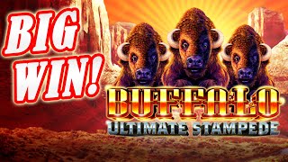 BIG WIN! Took It To The Top! Buffalo Ultimate Stampede Slot at Durango Casino in Las Vegas!