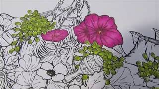 Download coloring book: Mythographic Animals Coloring Book
