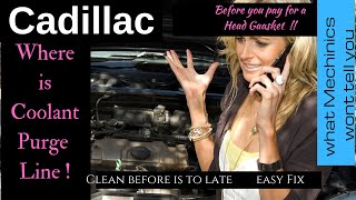Cadillac | Where is the Coolant Purge Line -Tube ? | Car Overheating Fix | DIY