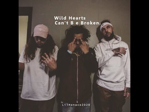 [SOLD] $uicideboy$ x XXXTENTACION Type Beat - 'Wild Hearts Can't Be Broken' (prod.Trulife)
