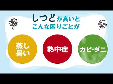 エアコン 2024年 ABKシリーズ ホワイト AN404AABKP-W [おもに14 エアコン 2024年 ABKシリーズ ホワイト AN404AABKP-W [おもに14