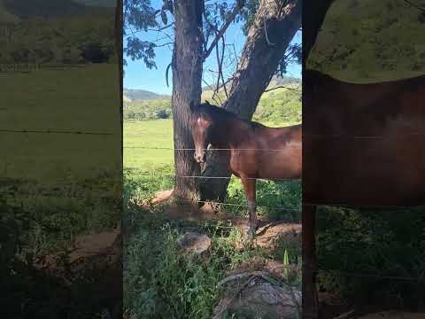 ESTAMOS  TRECHO  EM  PARAISÓPOLIS  EM  MINAS GERAIS  DO CAMINHO DA FÉ