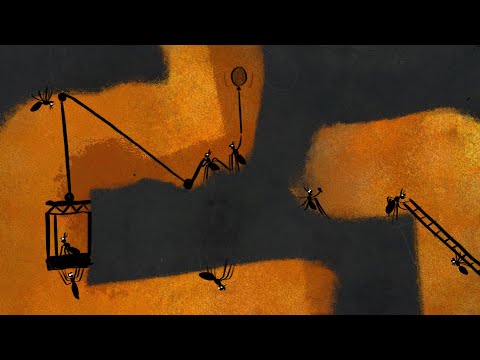 Małe cienie - IDZIE MRÓWA - piosenki dla dzieci