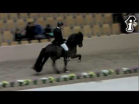 WorldTölt Odense 2013 - Daníel & Óliver F1 - isibless