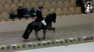 WorldTölt Odense 2013 - Daníel & Óliver F1 - isibless