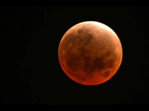 Dracula Das Musical - Das Lied vom Meister