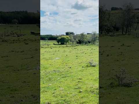 Alquiler Chacra 1Ha Logística 3km ciudad Trinidad Flores #inmobiliaria #realestate #uruguay #chacras