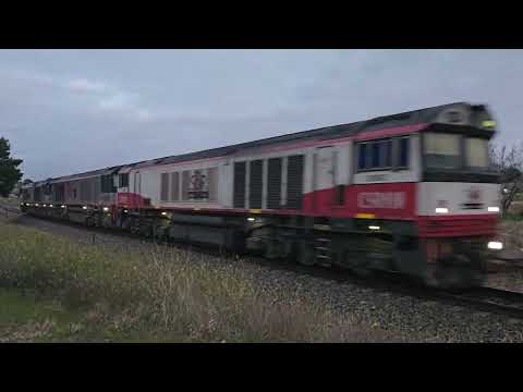 1PM9 SCT Grey Ghost to Melbourne (no steel), 12/6/24, Stawell VIC