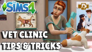 8 Vet Clinic Tips And Tricks For Success | The Sims 4 Cats & Dogs Guide