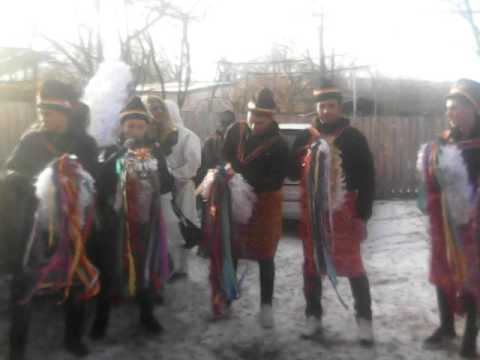 Capra Mare Budesti Neamt 2016