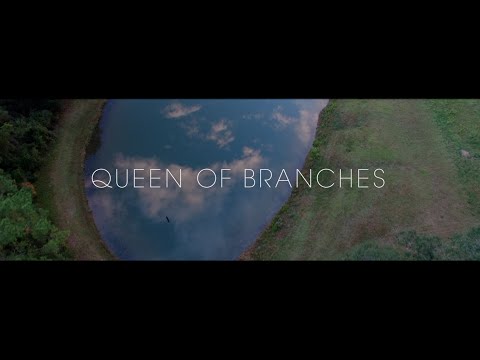 Video thumbnail for Queen of Branches