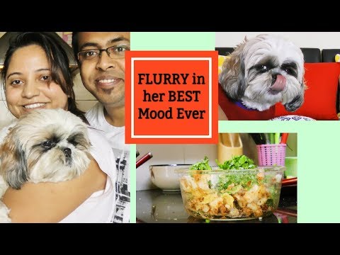 My Tuesday Morning To Evening Routine | Flurry In Her Best Mood Ever | Bengali Street Food Churmur Video