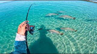 New Secret Fishing Spot