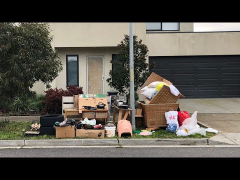 Curbside Collection - Haul Of All Sorts