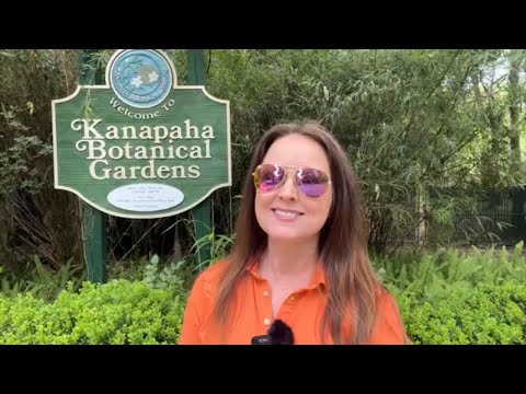 Kanapaha Botanical Gardens: A Hidden Gem in Florida | Community Health