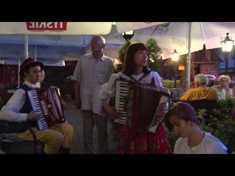 "TAM GDZIE SĄ ŁĄKI ZIELONE" - wspaniałe wykonanie przez Kapelę Ludową "WEŁTYNIANKA" 2016