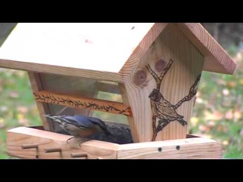 comment construire abri oiseaux