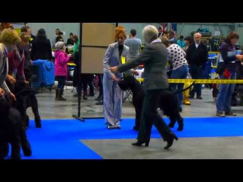 intermediate class Ana Dyaz, Blanca of Deviti, Zarina's Design Siempre Perfecta