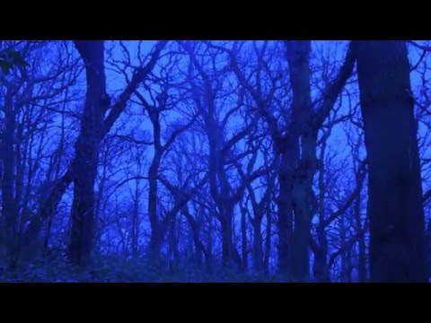 Dory Horror Trailer 1 (2016)