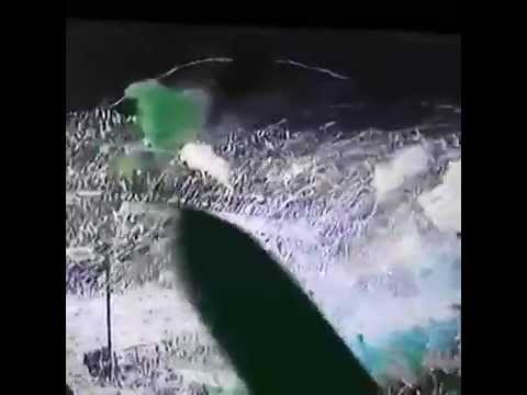 "Brutal recibimiento de los hinchas de Atlético Nacional | Atlético Nacional vs River Plate" Barra: Los del Sur &bull; Club: Atlético Nacional