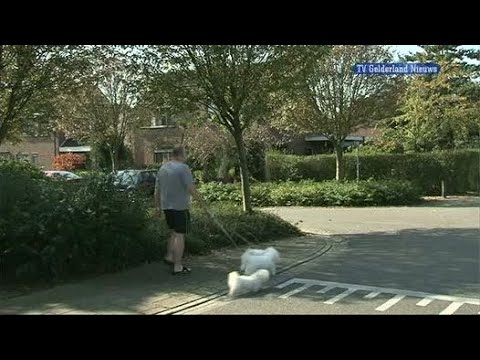 GLD Nieuws 30 september 2011 - Nieuws