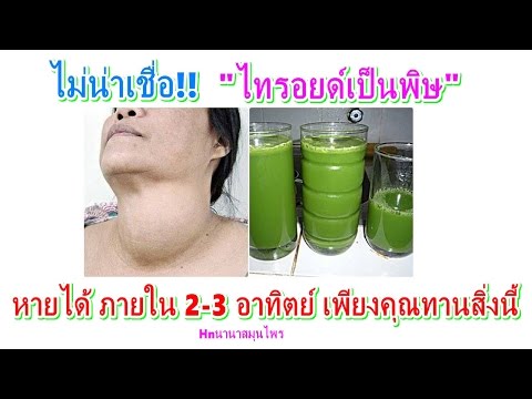 ปลิงทะเลและความแข็งแรง วิธีการที่จะกระตุ้นผู้หญิงสัมผัส