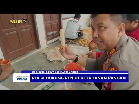 ANTISIPASI HAMA JAGUNG, JAJARAN POLRES KUTAI BARAT LAKSANAKAN PERAWATAN TERPADU TANAMAN