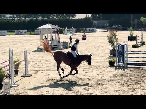 Showvideo 2