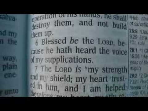 Psalm 28 King James Holy Bible