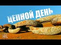 Цепной коп металла. Цепной коп металла.