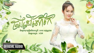 ចង់នៅសៅកែ  - ដា សុមាវត្តី - Da Somavattey - Official Audio Lyric