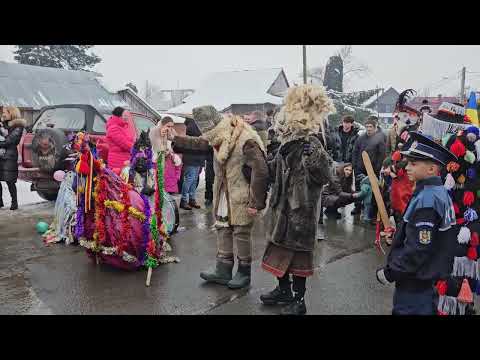 Capra bilbor Bobotează 2026