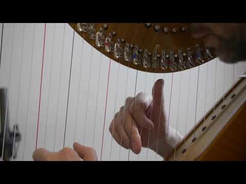 Fast ornaments/grace notes from Primavera - Slow Motion Monday ep. 41