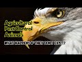 Amazing Facts The Critical Role Of Agricultural Pest Control